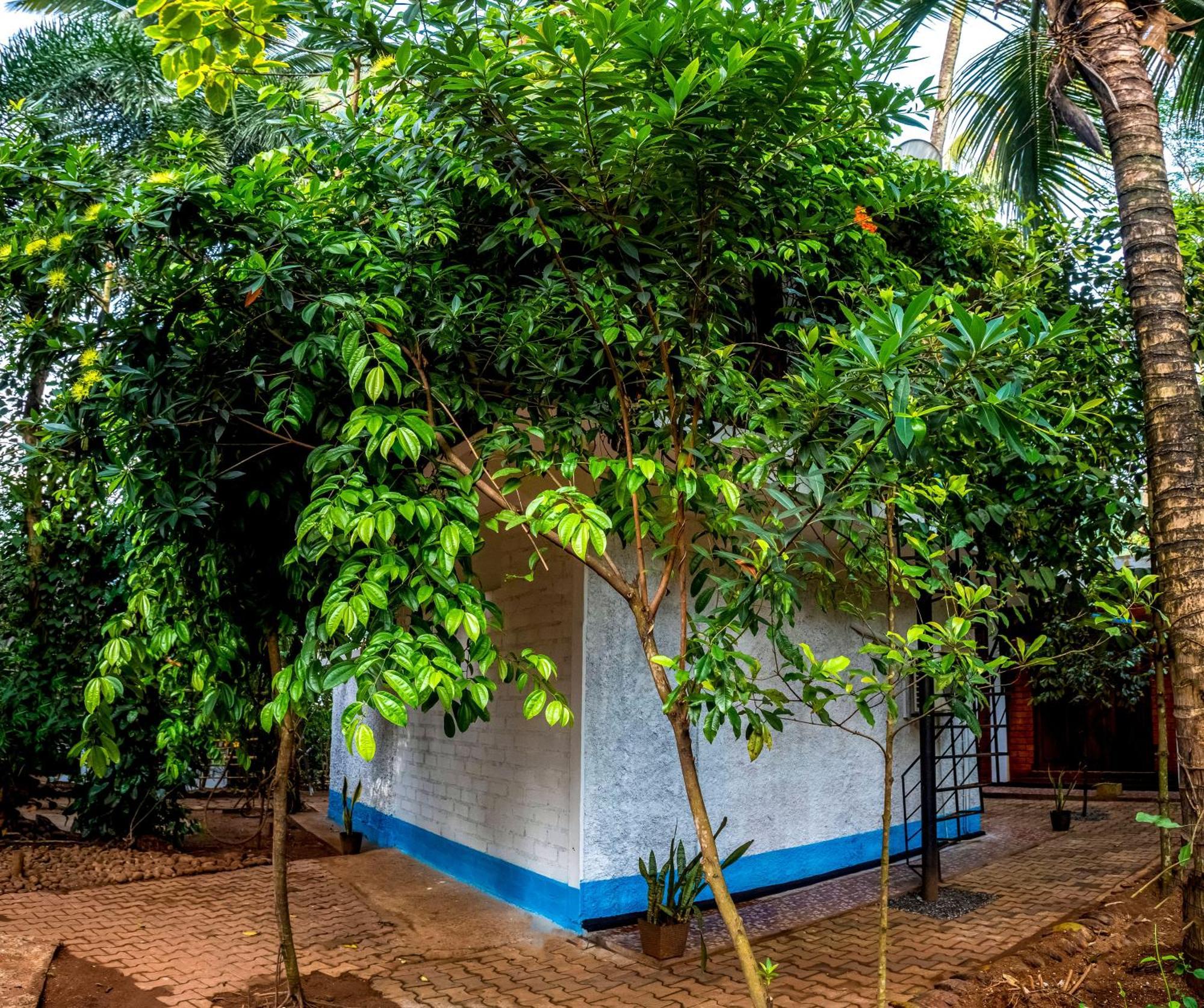 Jays Place Matale Kawudupelella Exterior photo